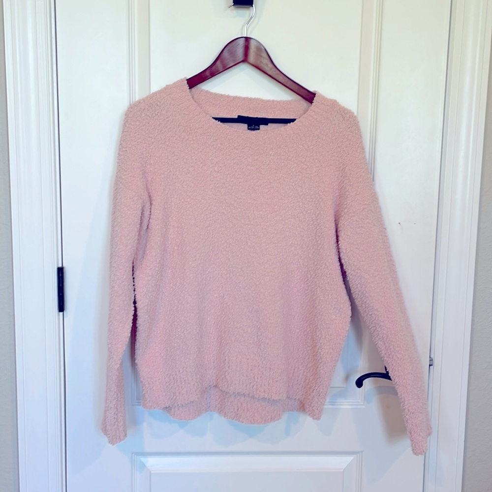 NWT Sanctuary size M pink teddy textured pull over sweater